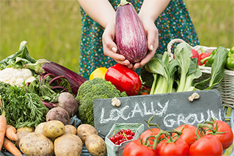 a woman cradling small eggplant over vegetable basket